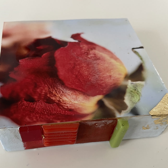 The Rose Remembers, 2025, photography and encaustic, 4 x 4 in. / 10.16 x 10.16 cm.