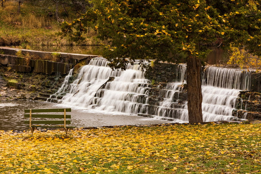Remembering Fall, 2023, framed canvas, 20 x 30 in. / 50.8 x 76.2 cm.