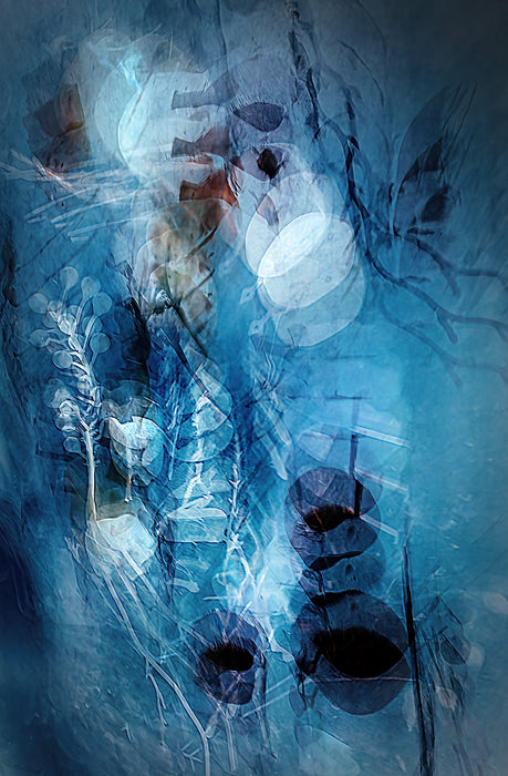 Garden By Moonlight, 2025, archival pigment print, 24 x 18 in. / 60.96 x 45.72 cm.