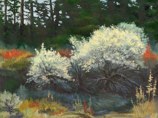 When the Sage Blooms, 2024, oil, 36 x 48 in. / 91.44 x 121.92 cm.