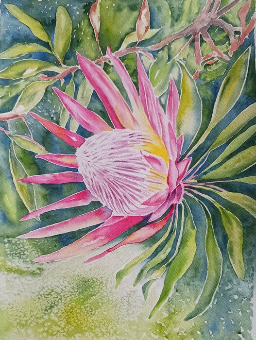 Spring Protea, 2025, watercolor, 12 x 9 in. / 30.48 x 22.86 cm.