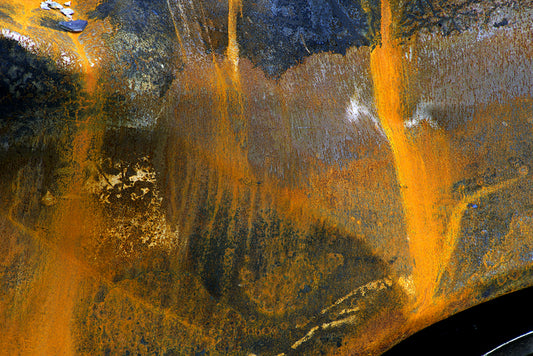 Circulatory, Arising from the Eaton Fire, Altadena, 2025, ink print, 13 x 19 in. / 33.02 x 48.26 cm.