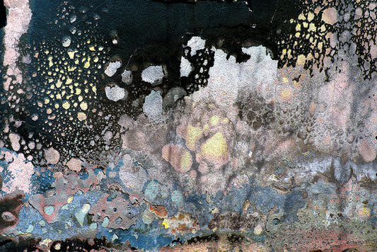 Freedom, Residue of the Eaton Fire, Altadena, 2025, archival pigment ink print, 13 x 19 in. / 33.02 x 48.26 cm.