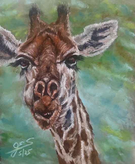 Giraffe's Grin, 2025, soft pastels, 10 x 8 in. / 25.4 x 20.32 cm.