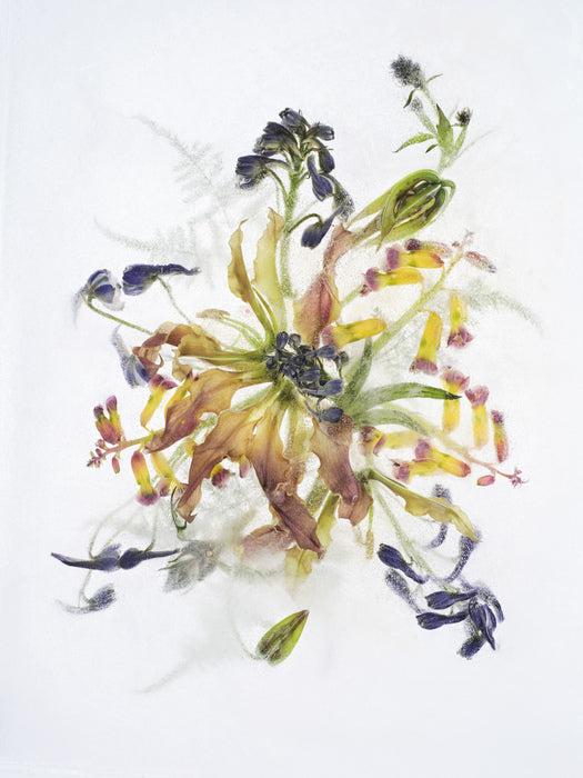 Fragility 001, 2025, archival pigment print on dibond, 58 x 44 cm. / 22.8 x 17.3 in.