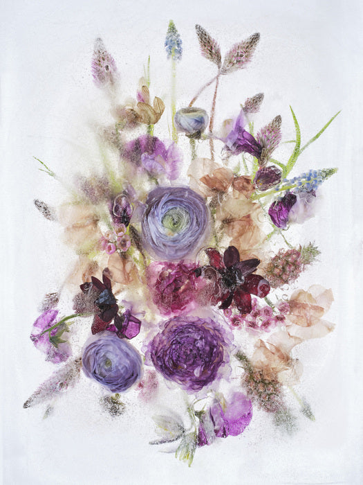 Fragility 002, 2025, archival pigment print on dibond, 58 x 44 cm. / 22.8 x 17.3 in.