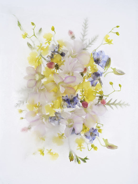 Fragility 003, 2025, archival pigment print on dibond, 58 x 44 cm. / 22.8 x 17.3 in.