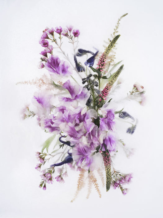 Fragility 016, 2025, archival pigment print on dibond, 58 x 44 cm. / 22.8 x 17.3 in.