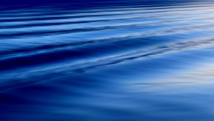 The Song, 2025, digital photography, 45 x 80 cm. / 17.7 x 31 in.