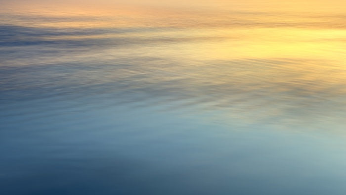Holy, 2025, digital photography, 80 x 45 cm. / 31.4 x 17.7 in.