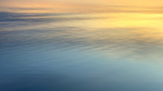 Holy, 2025, digital photography, 80 x 45 cm. / 31.4 x 17.7 in.