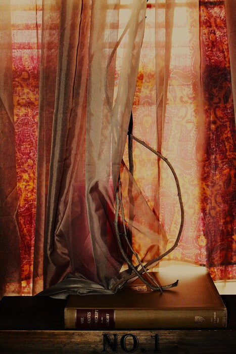Object Obscura, 2024, photography, 12 x 8 in. / 30.48 x 20.32 cm.