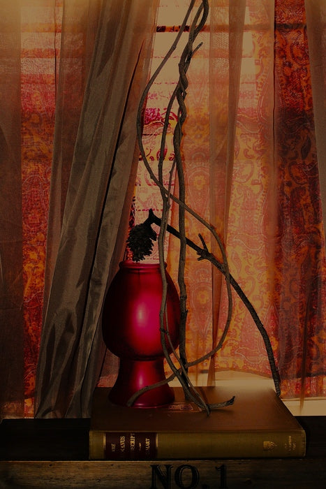 Homage, 2024, photography, 12 x 8 in. / 30.48 x 20.32 cm.