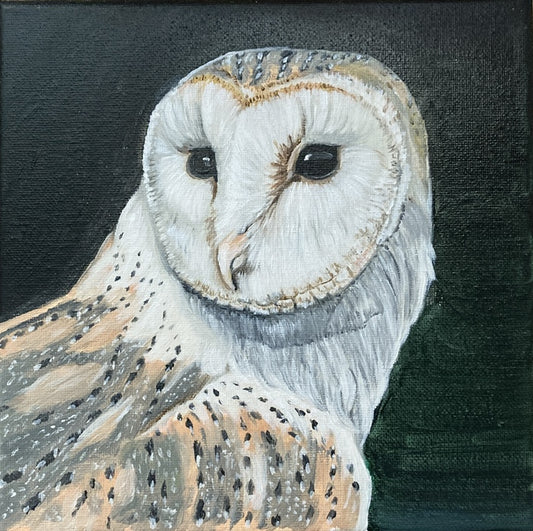 Barn Owl, 2025, oil, 8 x 8 in. / 20.32 x 20.32 cm.