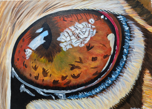 Eye of the Tiger, 2023, acrylic on canvas, 16 x 20 in. / 40.64 x 50.8 cm.