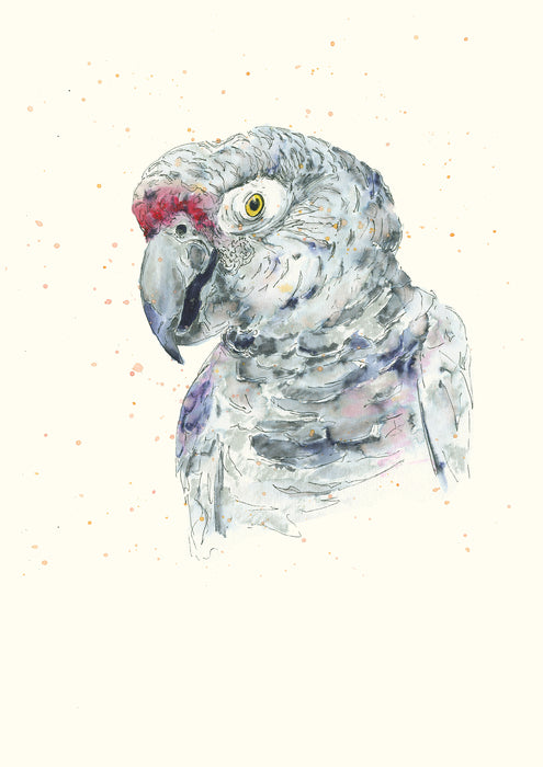 John The Parrot, 2024, watercolor, 11 x 17 in. / 27.94 x 43.18 cm.