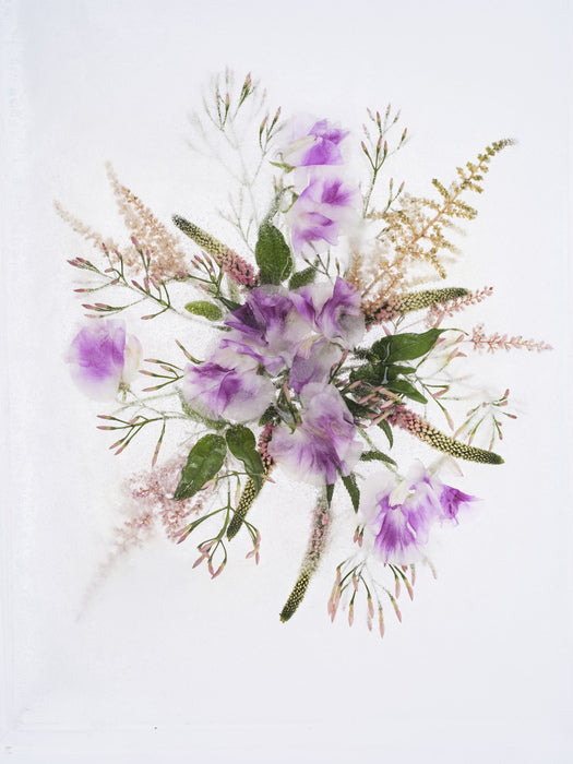 Fragility 009, 2025, archival pigment print on dibond, 58 x 44 cm. / 22.8 x 17.3 in.