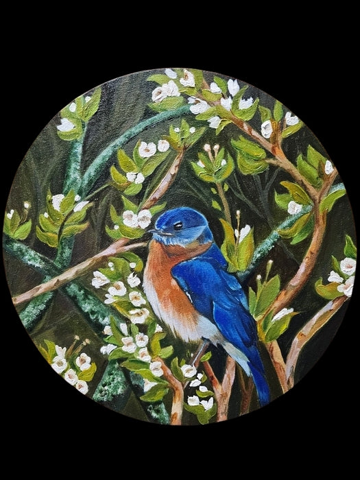 Uncaged in Cobalt, 2025, oil paint, 10 x 10 in. / 25.4 x 25.4 cm.