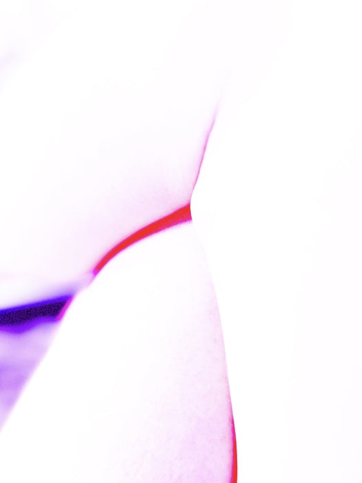 Ladies Always Cross Their Legs (Landscape of a Body) 2, 2025, photography, 21 x 16 in. / 53.34 x 40.64 cm.