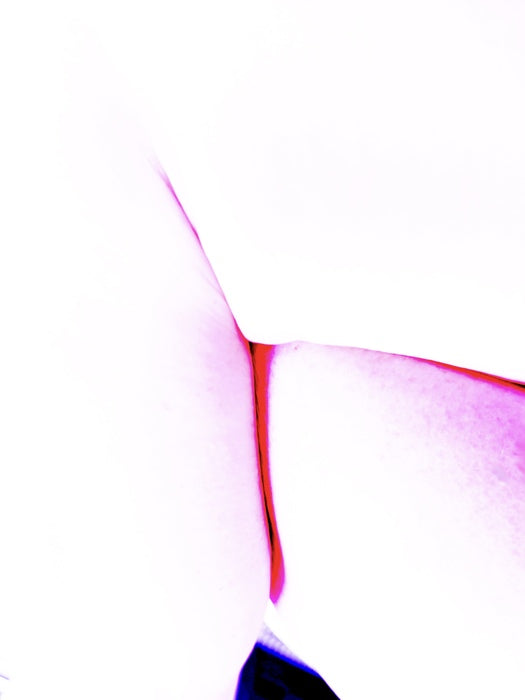 Ladies Always Cross Their Legs (Landscape of a Body) 1, 2025, photography, 21 x 16 in. / 53.34 x 40.64 cm.