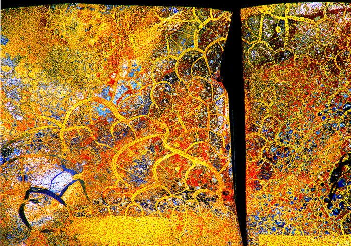 Scaled, Arising from the Eaton Fire, Altadena, 2025, mixed media, 13 x 18 in. / 33.02 x 45.72 cm.