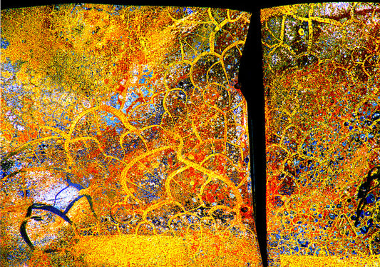 Scaled, Arising from the Eaton Fire, Altadena, 2025, mixed media, 13 x 18 in. / 33.02 x 45.72 cm.