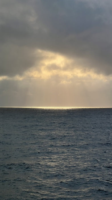 A Dream, 2025, digital photography, 80 x 45 cm. / 31.4 x 17.7 in.