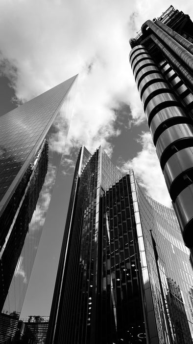 Looking Up, 2024, digital photography, 80 x 45 cm. / 31.4 x 17.7 in.