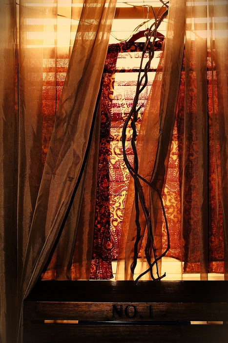 Thief of Time, 2025, photography, 12 x 8 in. / 30.48 x 20.32 cm.