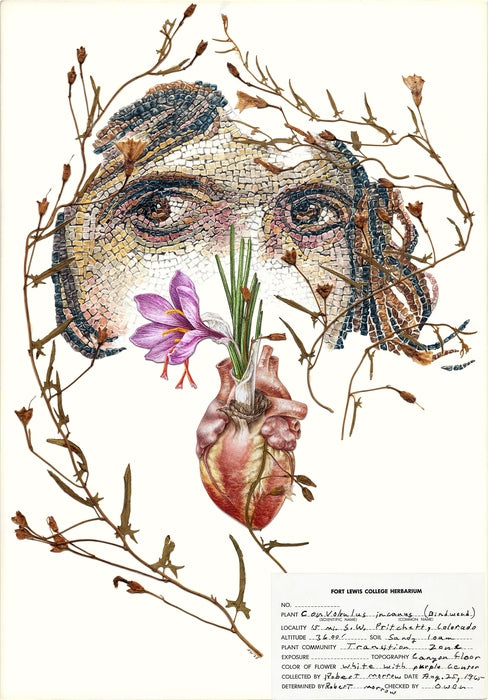 Myth, 2025, mixed media, 11 x 16 in. / 27.94 x 40.64 cm.