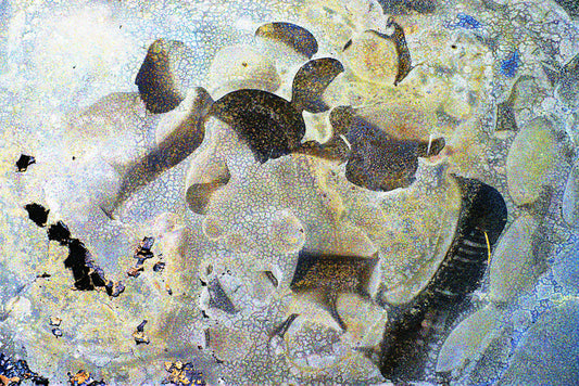 Regularized Maximum Likelihood Arising from the Rowena Fire, 2025, mixed media, 13 x 19 in. / 33.02 x 48.26 cm.