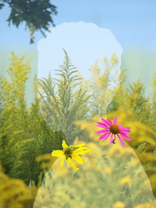 Viriditas 13, 2024, digital collage on paper, 24 x 18 in. / 60.96 x 45.72 cm.