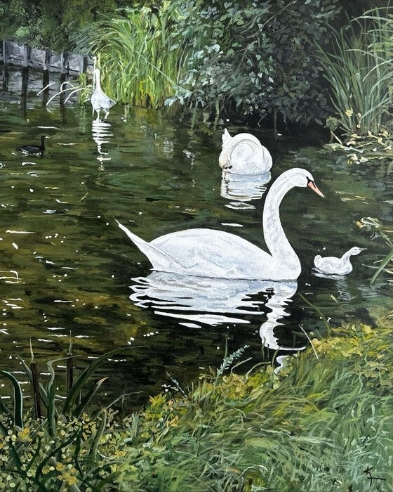 Swan Serenity, 2025, acrylic, 30 x 24 in. / 76.2 x 60.96 cm.
