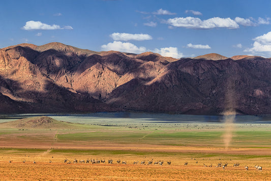 Oryx Herd with Dust Devil, 2024, photography, 16 x 24 in. / 40.64 x 60.96 cm.