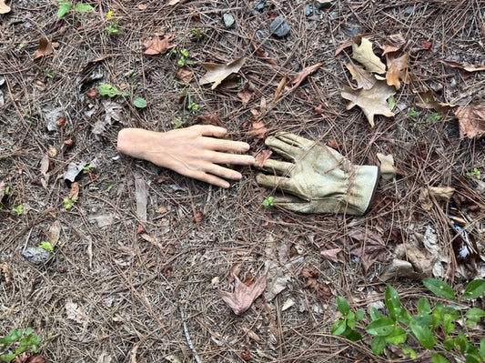 SYMPATHY, 2025, photography, 24 x 24 in. / 60.96 x 60.96 cm.