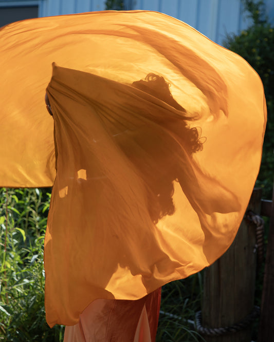 Shadows and Veils, 2025, digital photography, 24 x 20 in. / 60.96 x 50.8 cm.