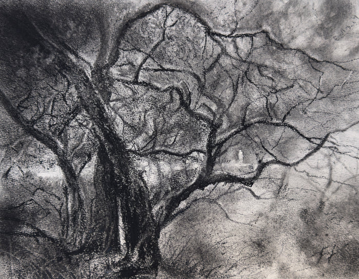 Together, 2025, charcoal on paper, 9 x 12 in. / 22.86 x 30.48 cm.