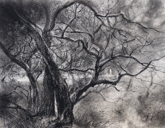 Together, 2025, charcoal on paper, 9 x 12 in. / 22.86 x 30.48 cm.