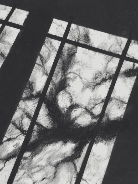 Komorebi, 2025, charcoal on paper, 5 x 8 in. / 12.7 x 20.32 cm.