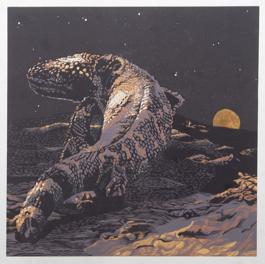 Sonoran Diary III: Gila Monster, 2025, color woodcut with screen print, 25 x 25 in. / 63.5 x 63.5 cm.