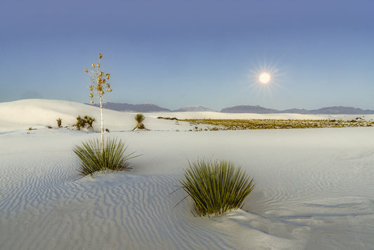 Moonset at Sunrise - White Sands, 2025, archival print, 20 x 30 in. / 50.8 x 76.2 cm.