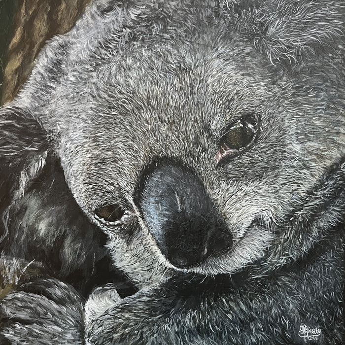 100 Percent Koala-ty, 2025, acrylic, 12 x 12 in. / 30.48 x 30.48 cm.