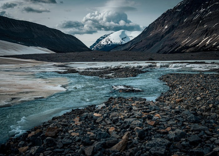 You Have Reached the End of the World, 2023, photography, 40 x 32 in. / 101.6 x 81.28 cm.