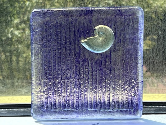 Shell of Light, 2025, glass, 6 x 6 in. / 15.24 x 15.24 cm.