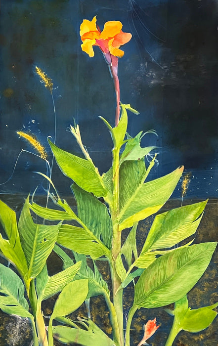 After Hailstorm, 2023, watercolor and cyanotype, 45 x 30 in. / 114.3 x 76.2 cm.