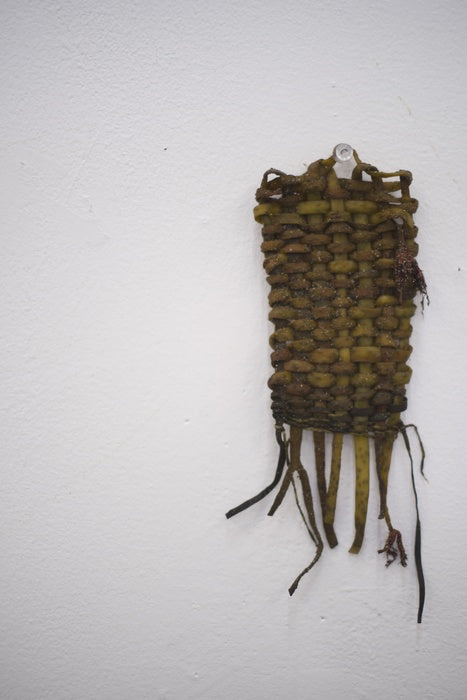 Weaving 6, 2025, sea spaghetti, 5 x 2 in. / 12.7 x 5.08 cm.