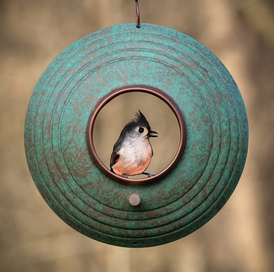 Titmouse, 2024, photography, 8 x 8 in. / 20.32 x 20.32 cm.