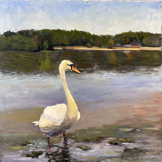International Visitor, 2025, oil, 16 x 16 in. / 40.64 x 40.64 cm.