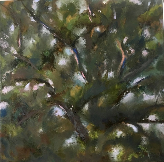 Pine Top 1, 2019, oil on canvas, 24 x 24 in. / 60.96 x 60.96 cm.