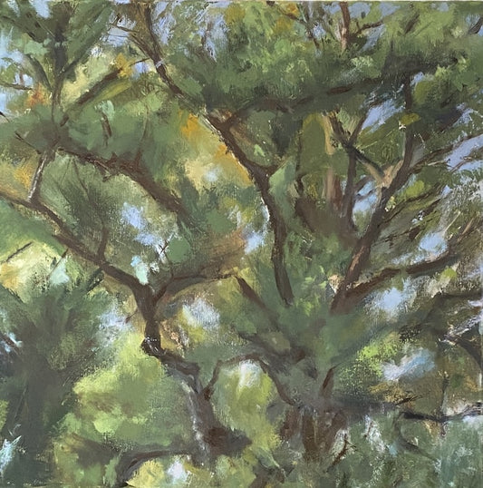 Pine Top IV, 2025, oil on canvas, 20 x 20 in. / 50.8 x 50.8 cm.
